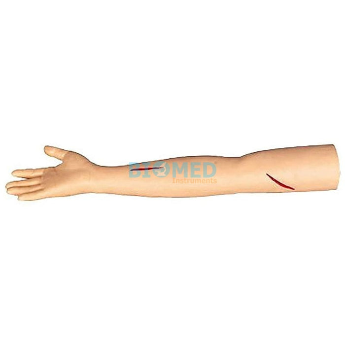 Modelo Brazo para practica de sutura