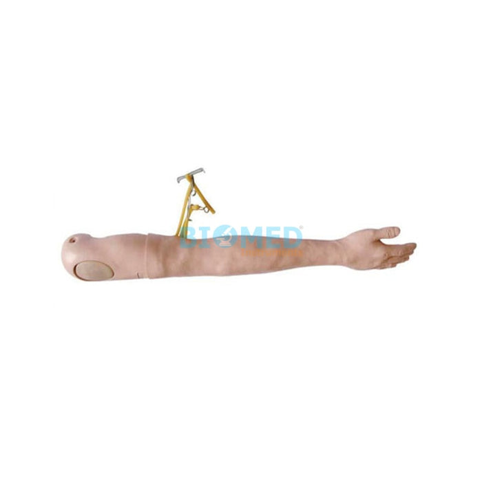 Modelo Brazo Entrenamiento Multiuso (IV)