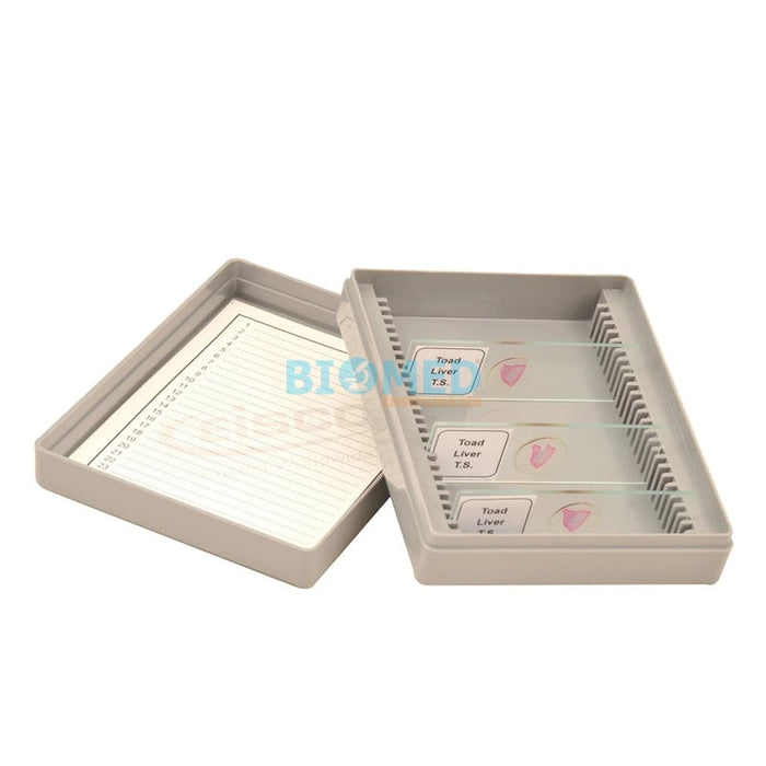 Caja para Guardar Placas Porta Objetos Preparadas