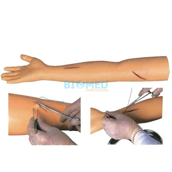 Modelo Brazo para practica de sutura