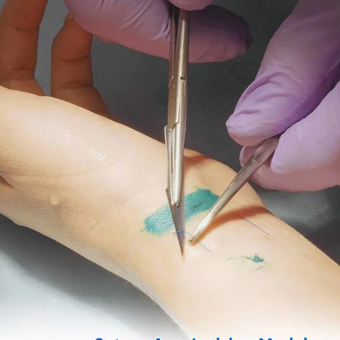 Modelo Brazo para practica de sutura